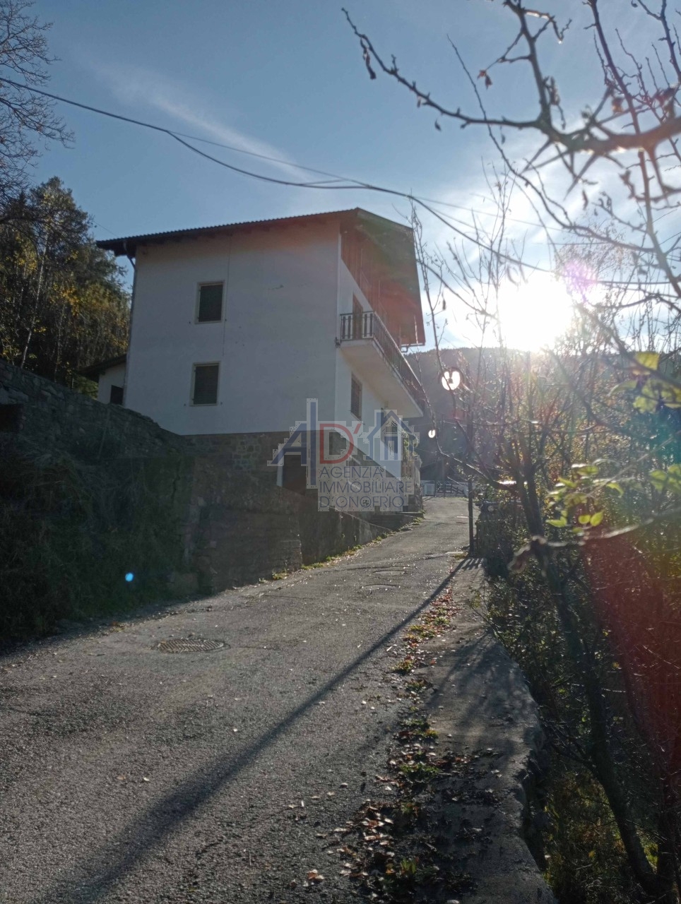 home-1