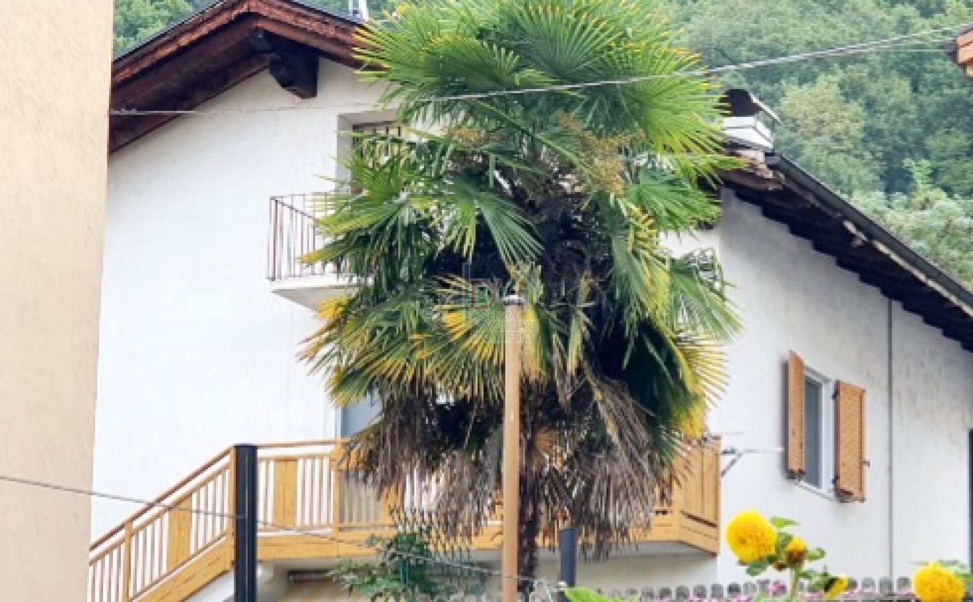 home-1
